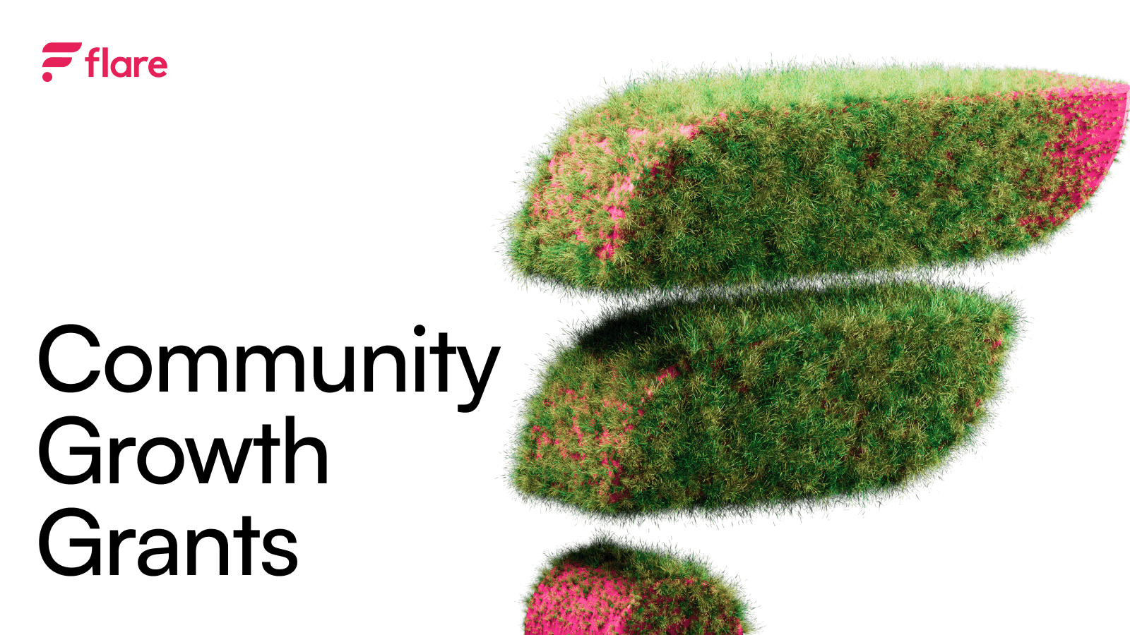 Flare Community Grant